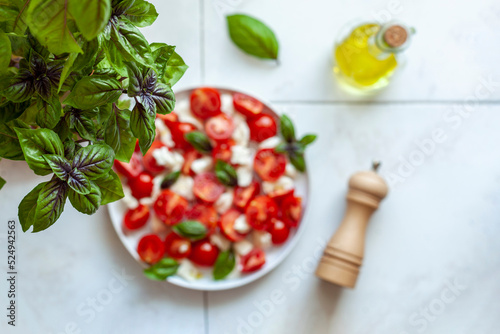 Caprese salad served under the basil plant, home gardening concept, top view