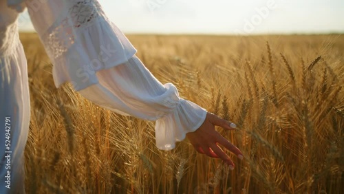 pacification and calmness in rye field, woman is stroking ears of ripe wheat, growing cereals crops