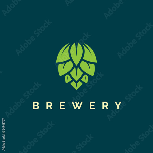Obraz na plátně Hop icon vector beer cone pine illustration leaf art bud green decoration
