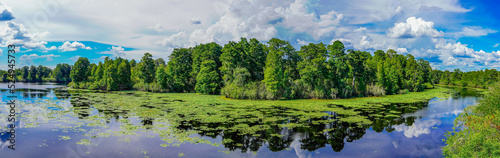 Landscape of Hillsborough river at Lettuce lake park
