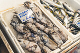 Mediterranean cuisine concept. Closeup shot of freshly caught seafood put in a white container with ice. Kapani Market in Greece. High quality photo