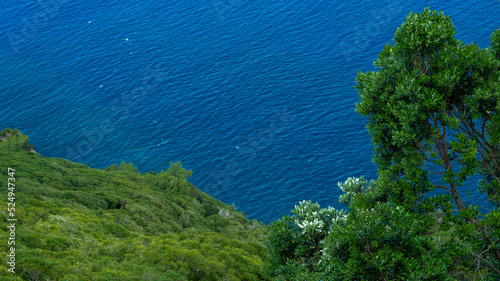mar azul oceano natureza campo verde