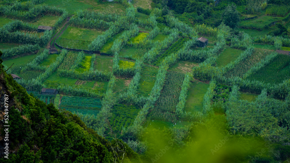 campo, paisagem, rural , agricultura campo, paisagem, rural , agricultura
