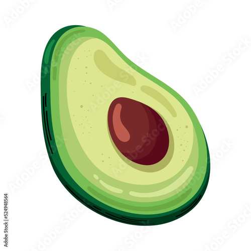 fresh avocado vegetable