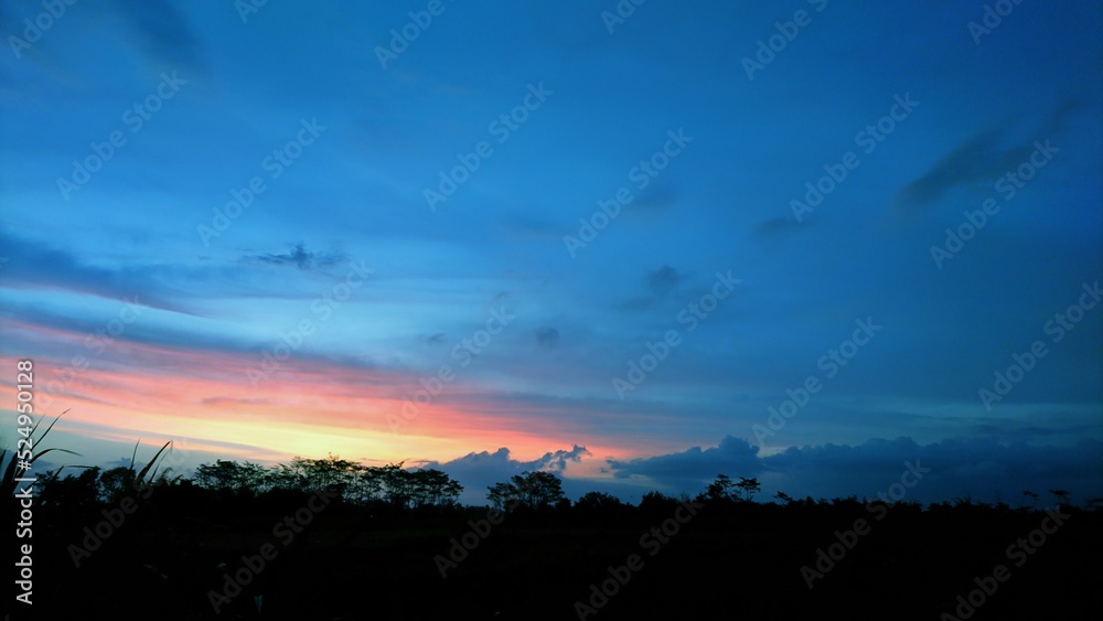 sunset over the field [2209]