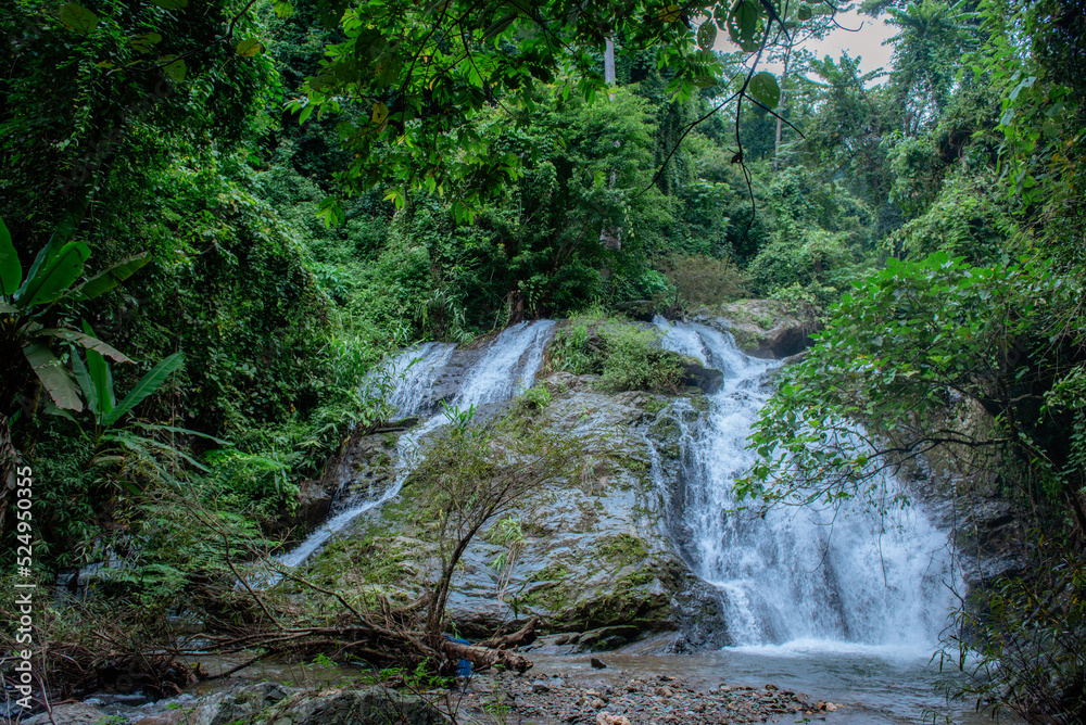 Obraz premium Visit a waterfall in the valley.
