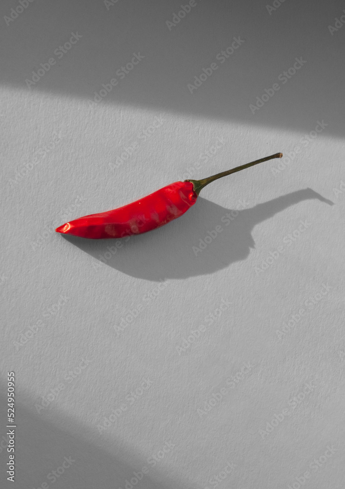 Chili pepper on a white background. Background with shadow. Chili pepper on a white background. Background with shadow.