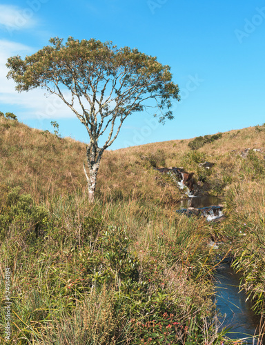 Paisagens dos campos de cima da serra, em Cambará do Sul - Brasil photo