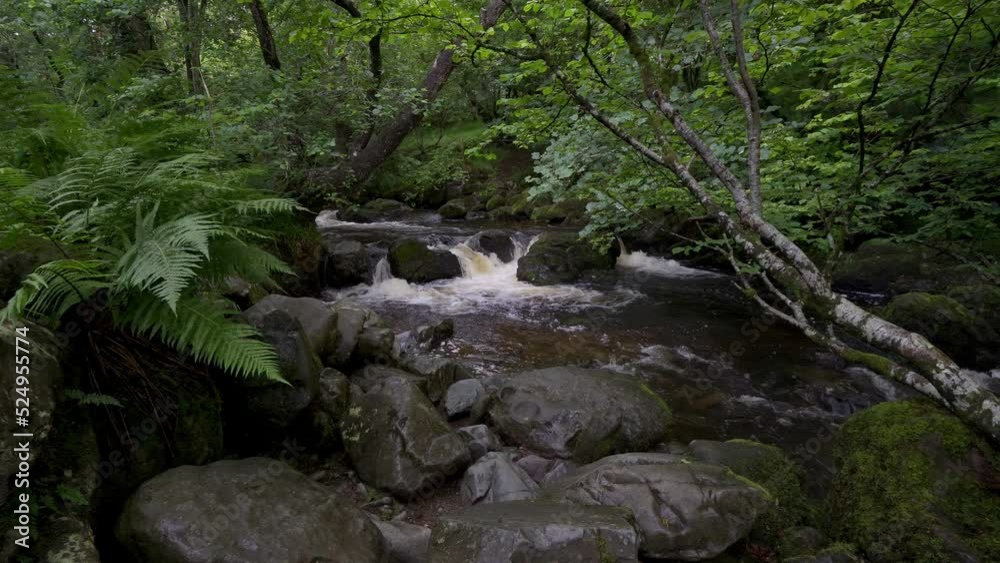 Scenic view of a stream or river in woodland in the Lake District National Park, Cumbria, England. UK Scenic view of a stream or river in woodland in the Lake District National Park, Cumbria, England. UK
