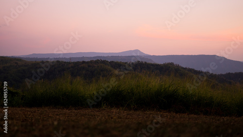 Sunset on mountain and forest with pink sky background. beautiful evening outdoor nature with sweet cloud backdrop. landscape sunrise in spring season. environment or broken heart, lonely concept.