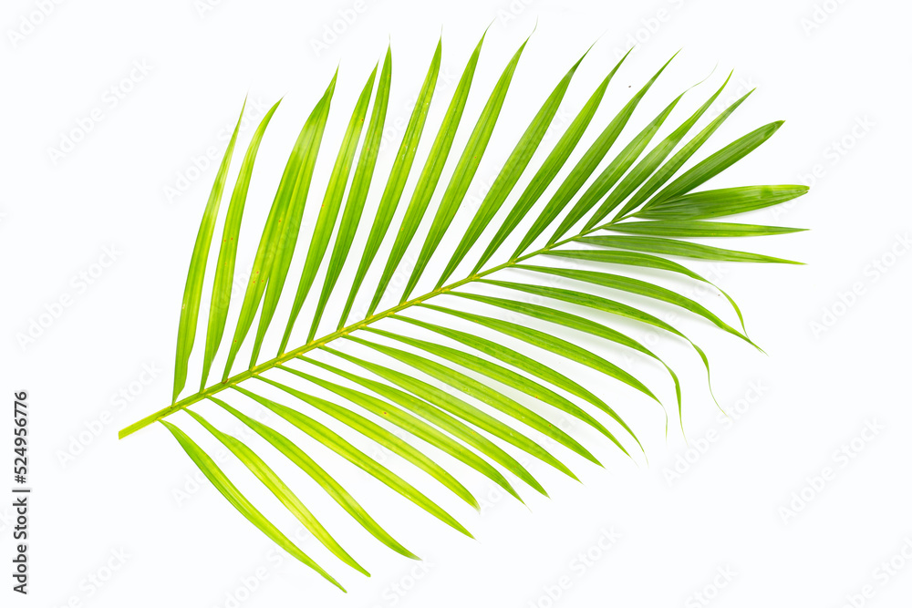 Obraz premium Crispy banana sticks. Fruit snack