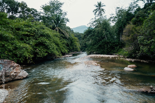 Wide river going through the rainforest trees.