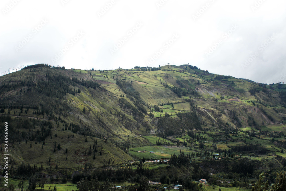 Montaña con árboles en la sierra ecuatoriana Montaña con árboles en la sierra ecuatoriana