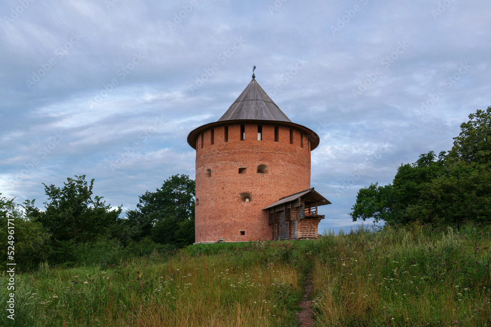 Alekseevskaya (White) Tower on a summer morning, Veliky Novgorod, Russia