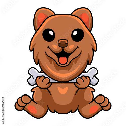Cute little pomeranian dog cartoon holding a bone