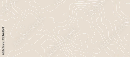 White wave paper curved reliefs abstract background, Abstract topographic contours map, Topographic background and texture, monochrome. White wave paper curved reliefs abstract background.
