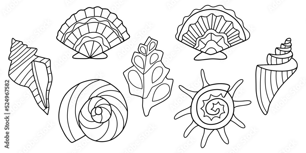 Big set of linear hand-drawn sea shells vector illustration. Sea ...