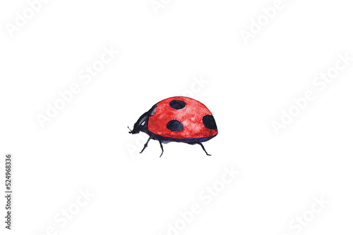 watercolor painting cartoon ladybug png. © atichat