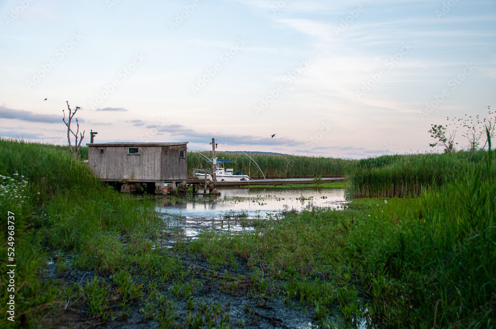 the river in the countryside