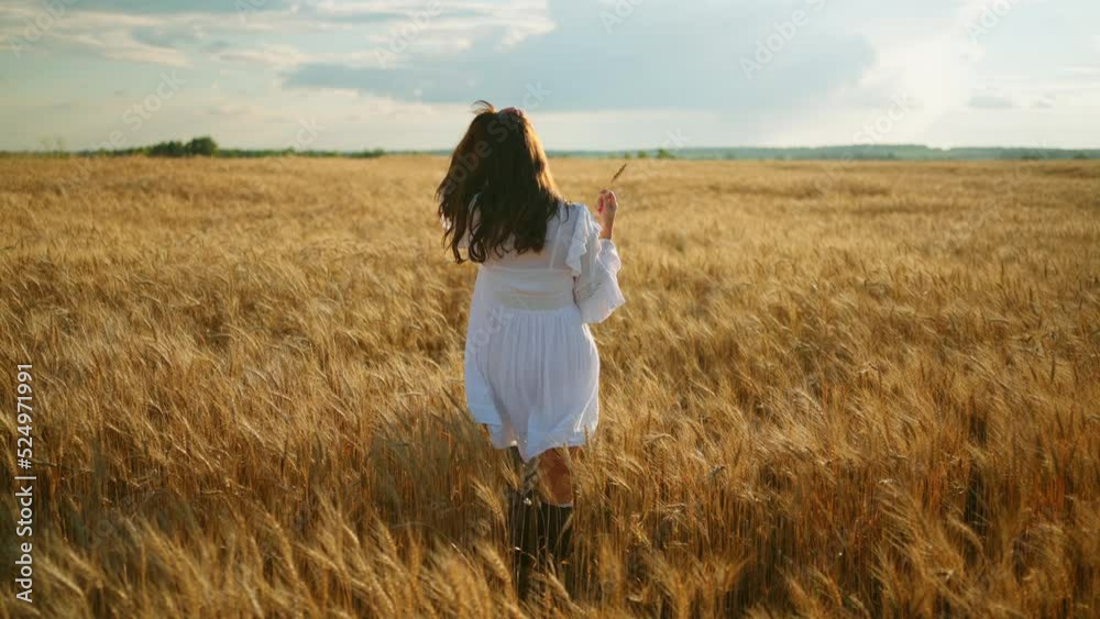 graceful woman in white dress is walking alone in field of ripe golden rye and admiring natural landscape graceful woman in white dress is walking alone in field of ripe golden rye and admiring natural landscape