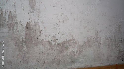 The growth of black toxic mold, humidity and dampness in the living room. Black mold on walls. 