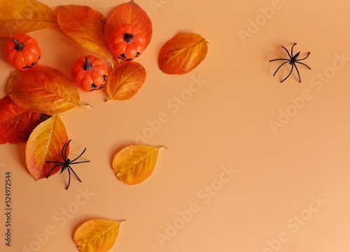 Three small Beautiful pumpkins, two black small spider and fallen yellow-red leaves on a orange background. Creative halloween concept backdrop.	
