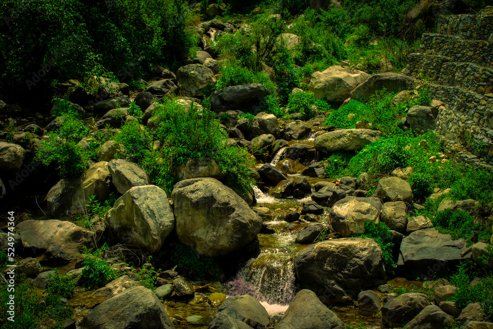 moss on the rocks