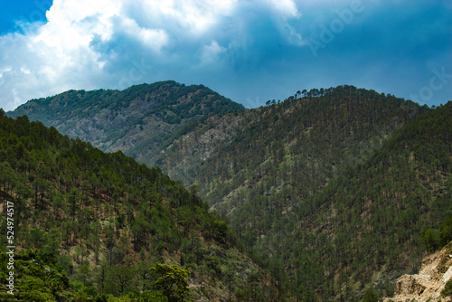 landscape with blue sky