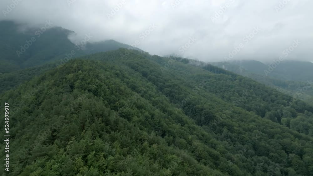 Landscape above forest misty morning Aerial shot foggy sky with clouds Landscape above forest misty morning Aerial shot foggy sky with clouds