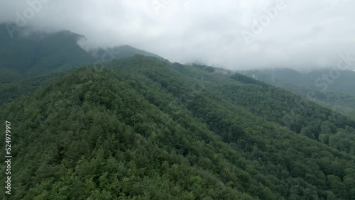 Landscape above forest misty morning Aerial shot foggy sky with clouds
