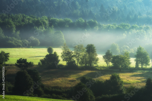 Misty morning in the mountains