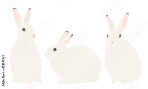 Vector illustration of white rabbits isolated on background.