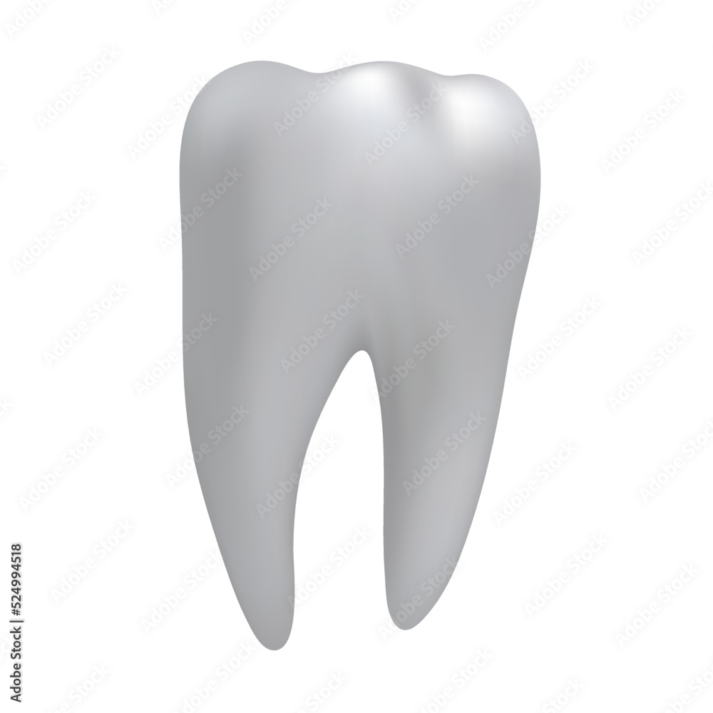 Tooth realistic vector isolated on white background illustration or emblem of dental services Tooth realistic vector isolated on white background illustration or emblem of dental services