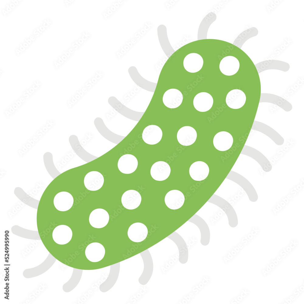Protozoa Protozoa