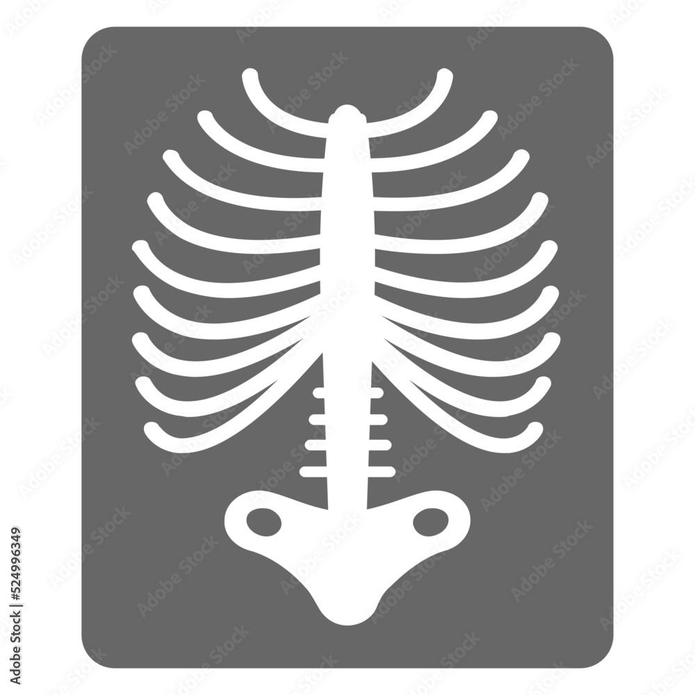 Human Ribs Stock Vector Adobe Stock