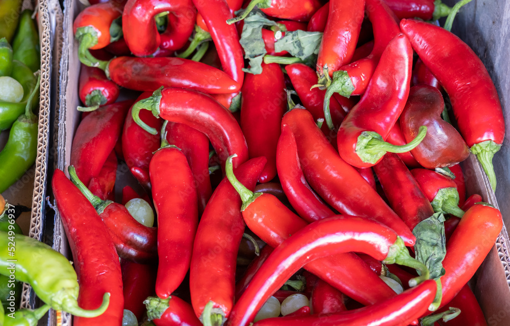 Hot red chilli peppers at farmers market