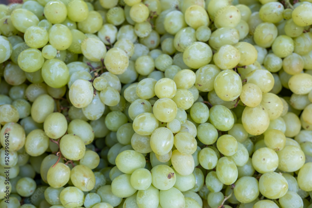 Macro shot of new harvest green-yellow grapes for sale at local market