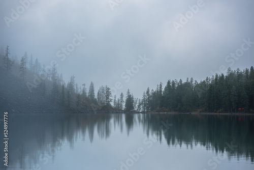 Tranquil meditative misty scenery of glacial lake with pointy fir tops reflection at early morning. Graphic EQ of spruce silhouettes on calm alpine lake horizon in mystery fog. Ghostly mountain lake. © Daniil