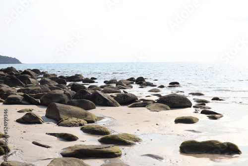 rocks on the beach