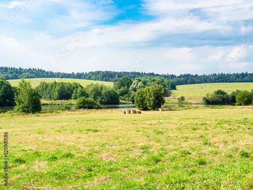 mowed meadow next to small river and green hills on sunny summer day © Ekaterina