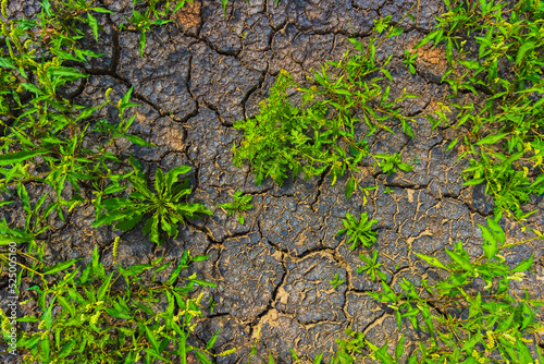 Cracked earth, metaphoric for climate change and global warming