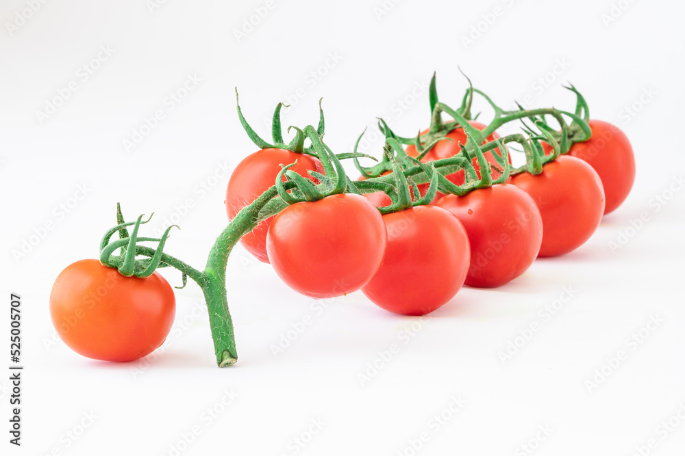 Delicious and rich tomatoes on a branch with drops of water, isolated on a white background. Agricultural harvest and daily healthy food Delicious and rich tomatoes on a branch with drops of water, isolated on a white background. Agricultural harvest and daily healthy food