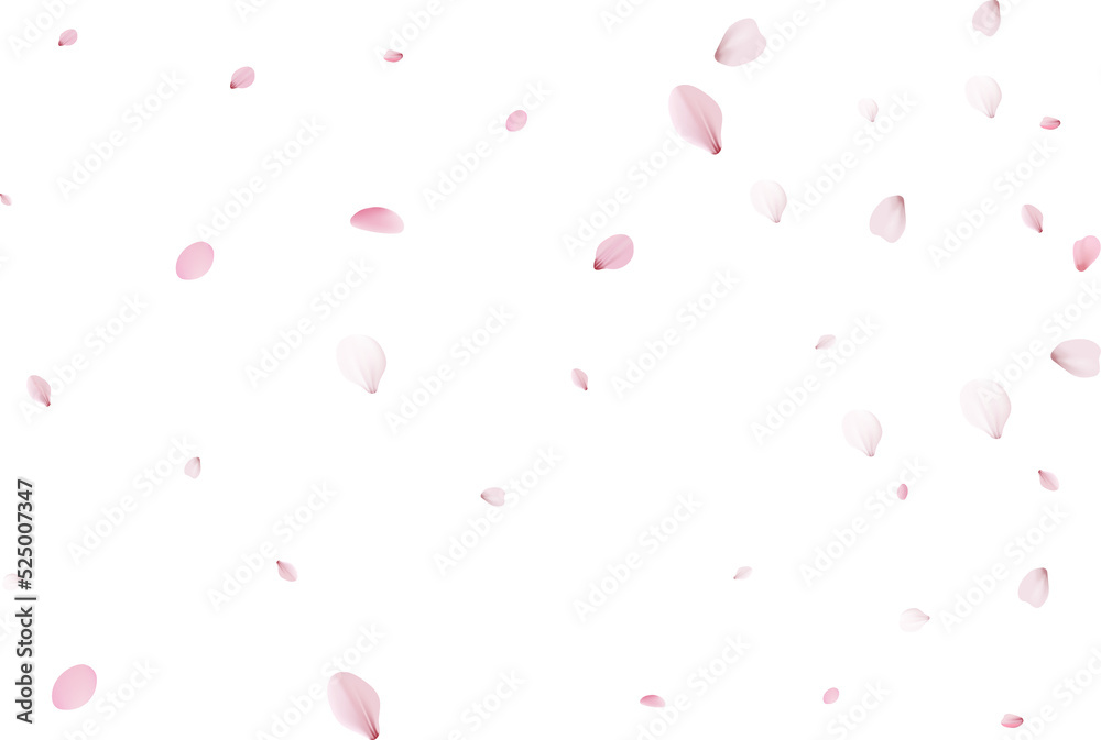 Sakura petals