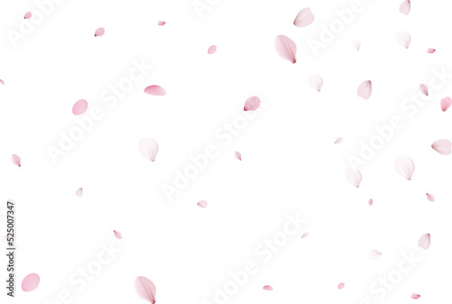 Fototapeta Naklejka Na Ścianę i Meble -  Sakura petals