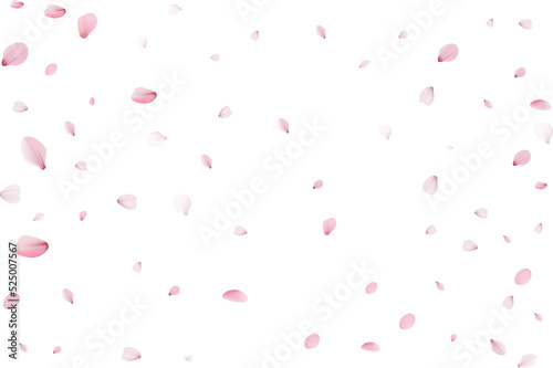 Fototapeta Naklejka Na Ścianę i Meble -  Sakura petals