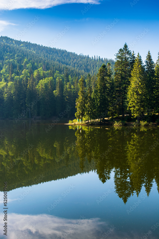 mountain landscape with lake in summer. beautiful forest scenery around the water. scenic travel background of synevyr national, ukraine. green outdoor nature environment