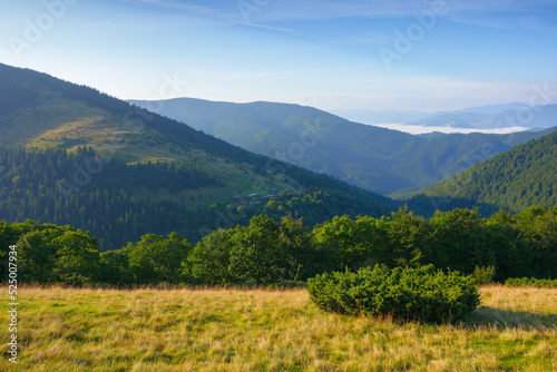 mountainous countryside scenery in morning light. fog in the distant valley. forested hills beneath a bright blue sky