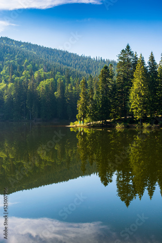 mountain landscape with lake in summer. beautiful forest scenery around the water. scenic travel background of synevyr national, ukraine. green outdoor nature environment
