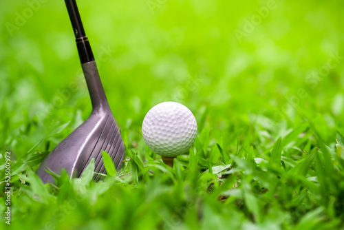 golf club and golf ball on green grass