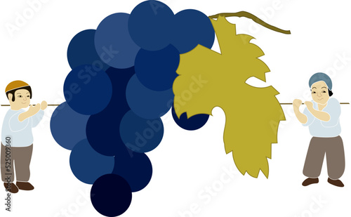 Jewish scouts with grapes, drinking grape juice vector illustration. Little boy with grapes fruits. Season of collecting harvest, grape for wine festive in Israel. Health and diet of fresh fruits.